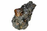 Fluorescent Zircon Crystals in Biotite Schist - Norway #175873-2